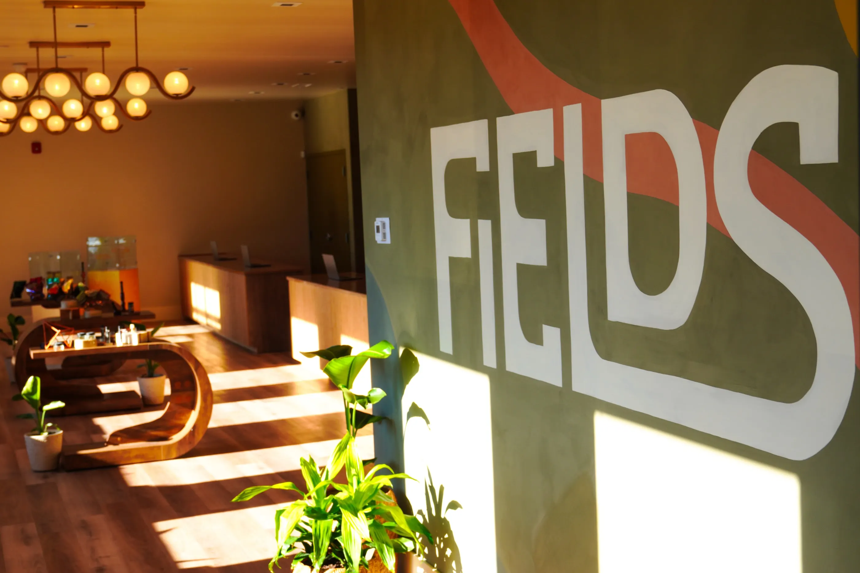 The word Fields painted across the wall at Fields Cannabis
